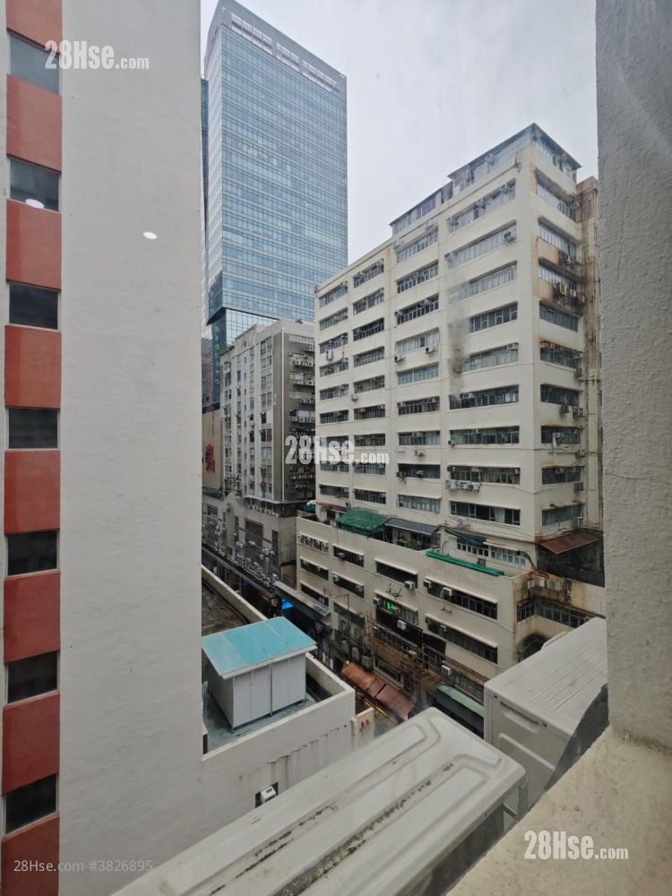 Camel Paint Building Rental