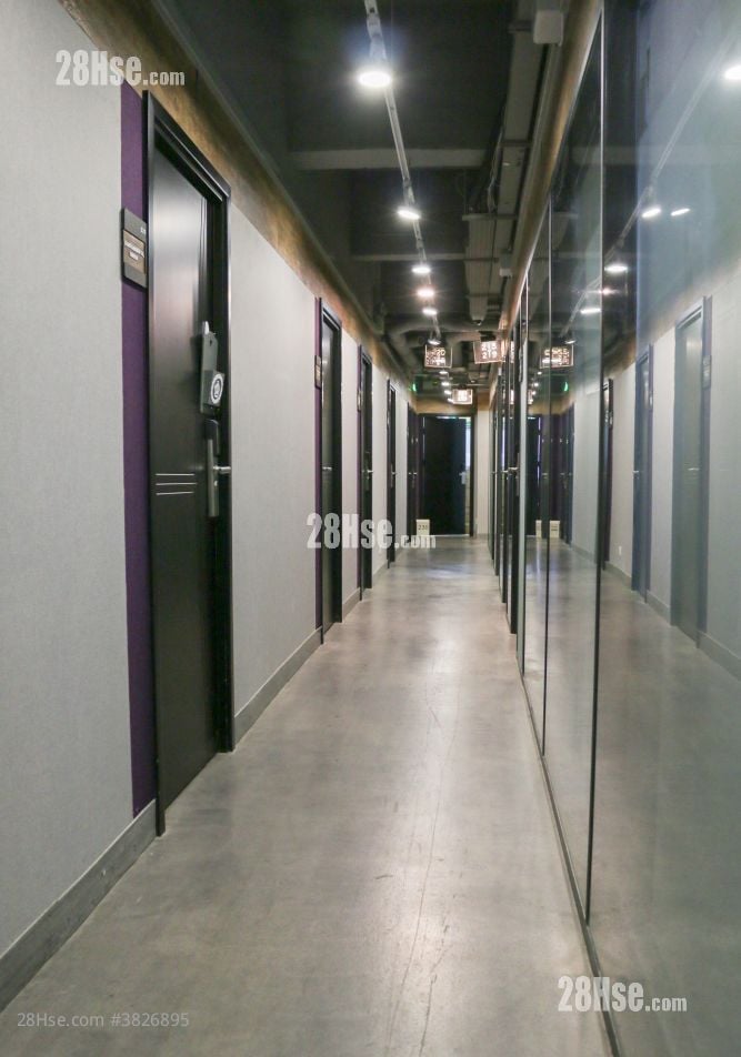 Camel Paint Building Rental