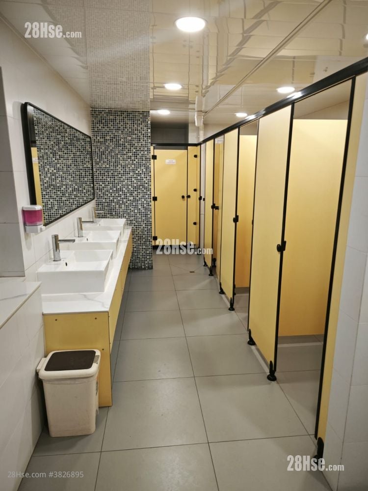 Camel Paint Building Rental