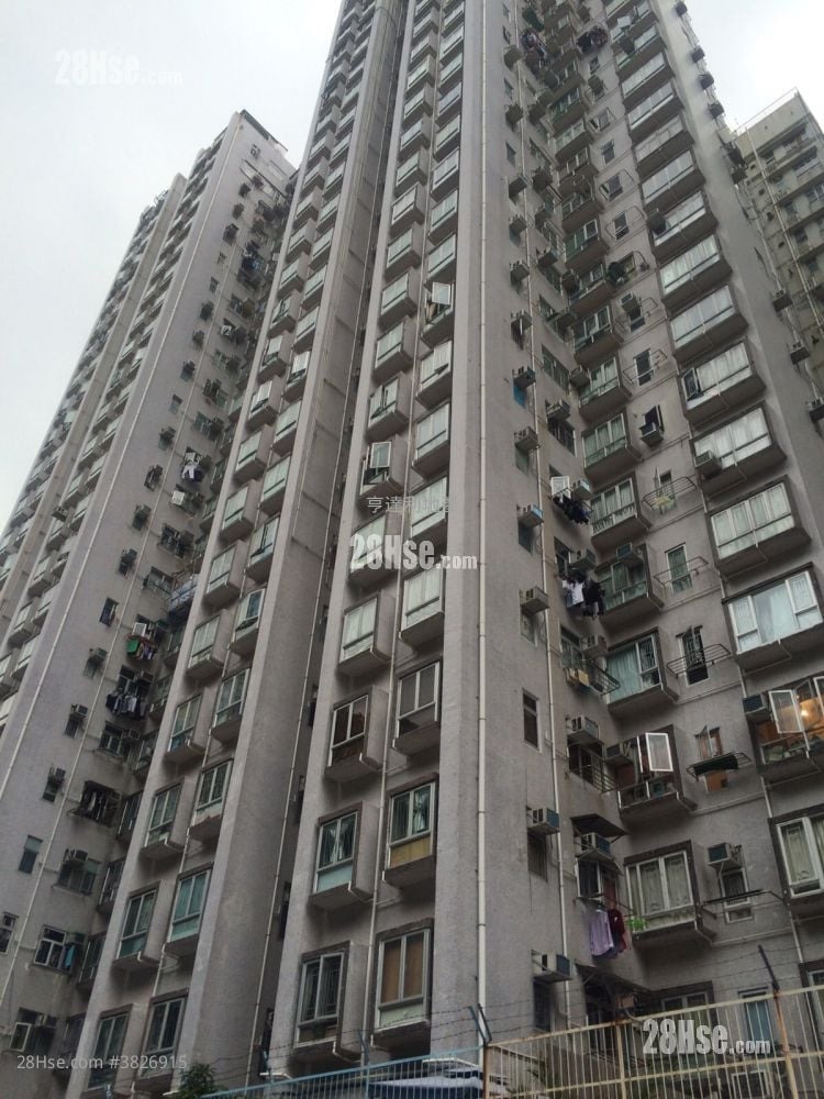 碧丽阁 租盘 1 房 , 1 浴室 292 平方尺