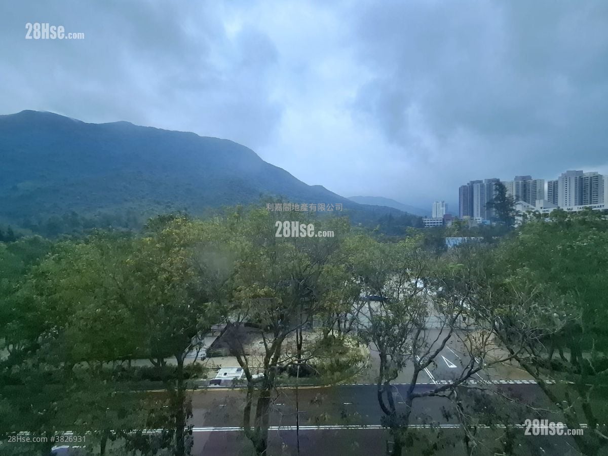 藍天海岸 租盤 561 平方呎