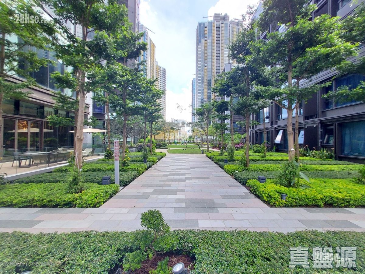 龍譽 租盤 2 房 , 1 浴室 539 平方呎