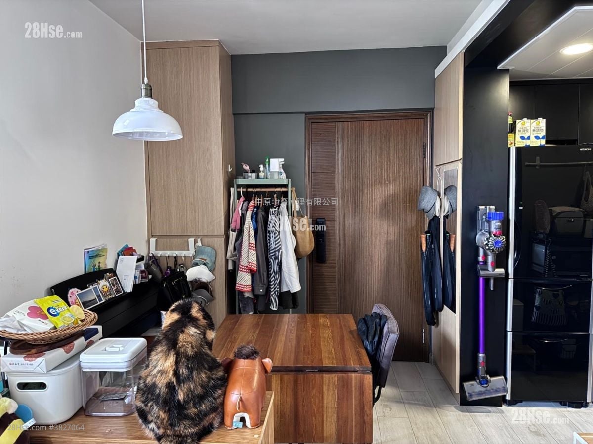 大埔中心 售盤 1 房 325 平方呎