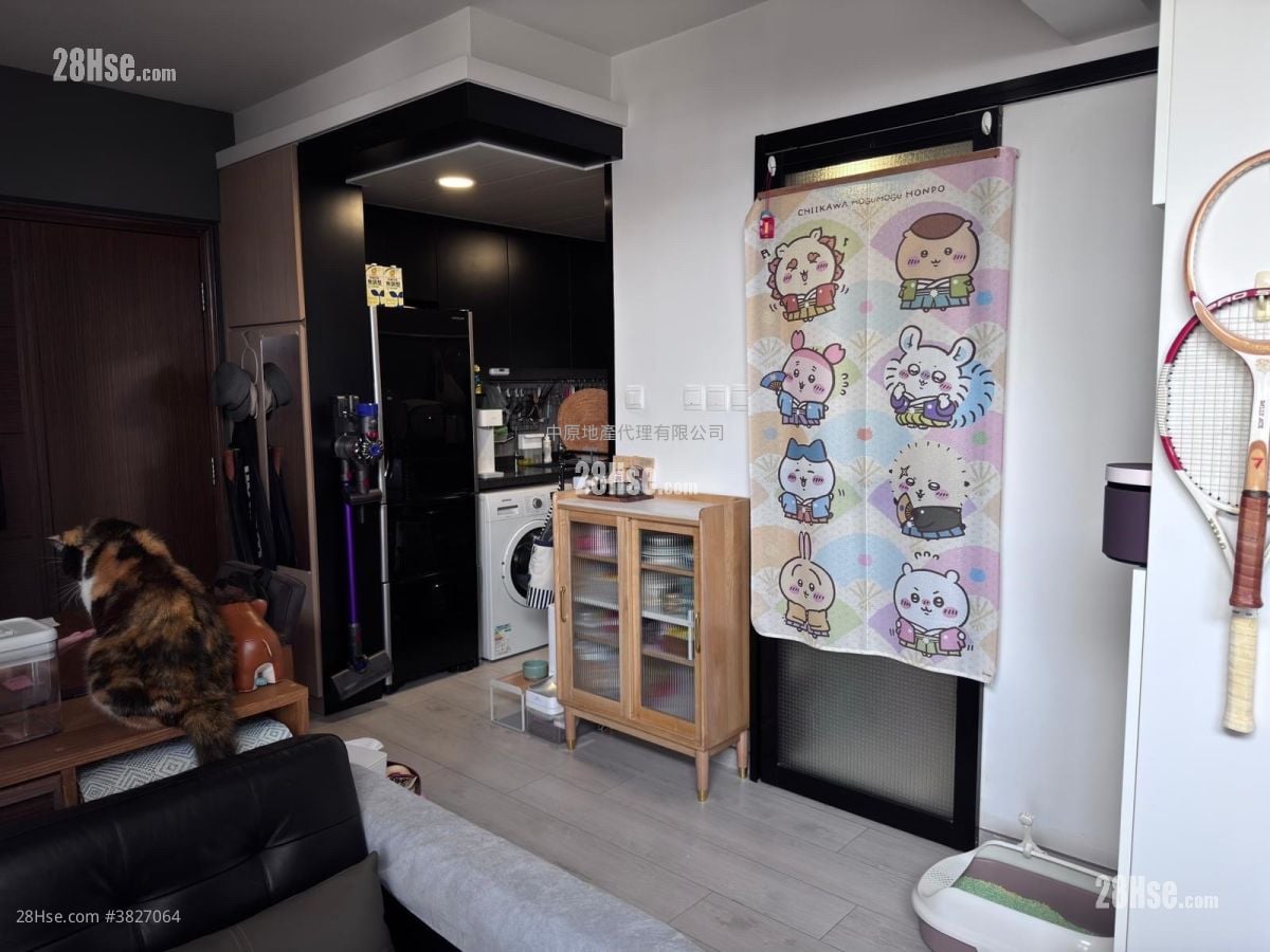 大埔中心 售盤 1 房 325 平方呎