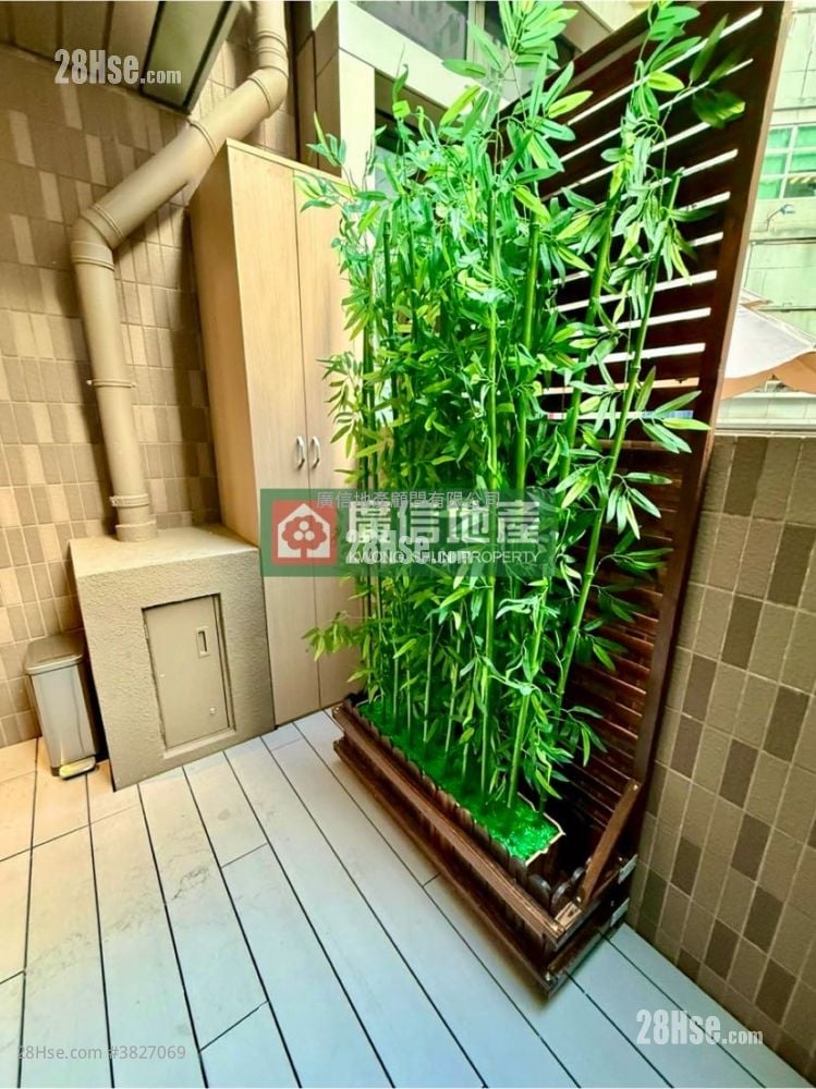 千望 租盤 開放式間隔 , 1 浴室 179 平方呎