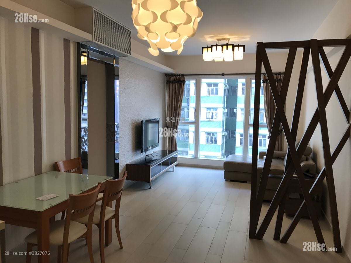 舊相片只供参考