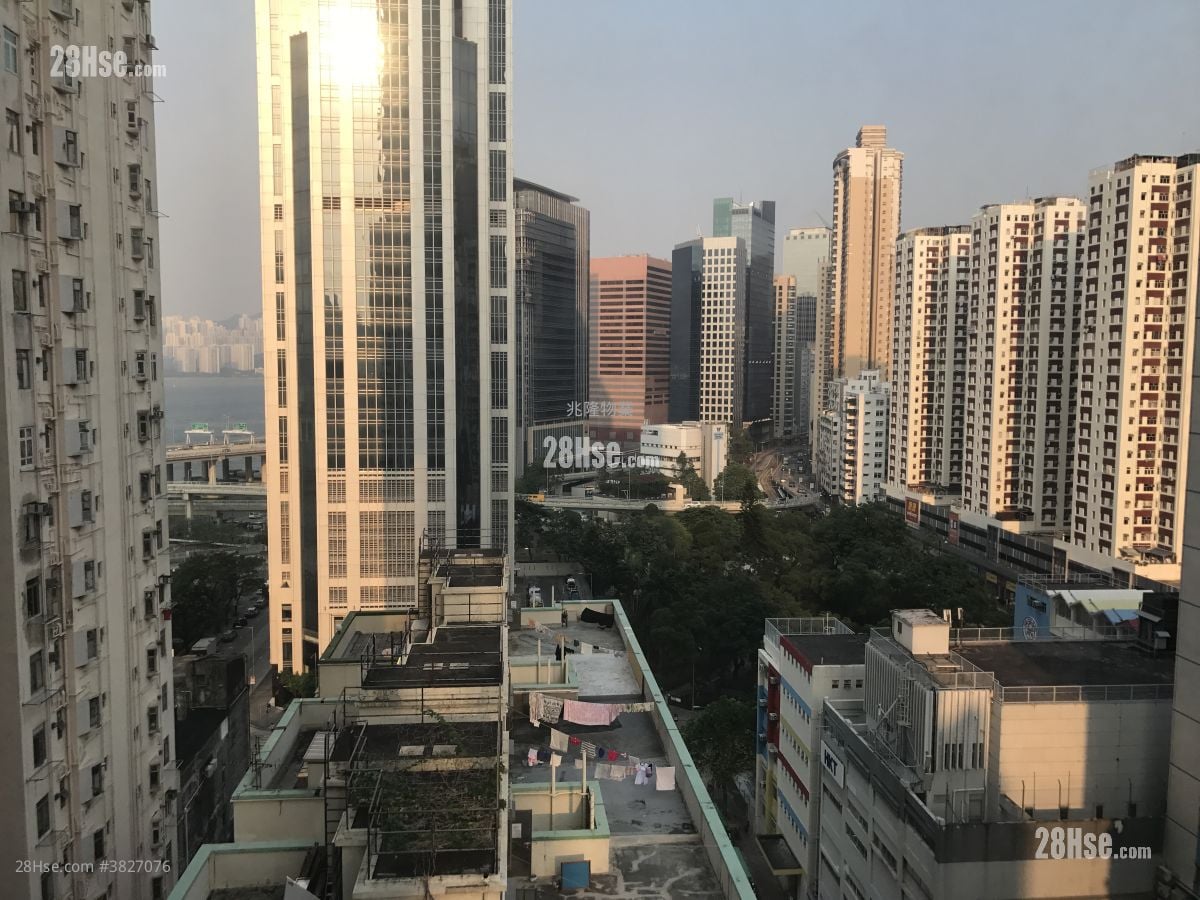 舊相片只供参考