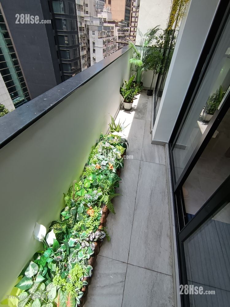 香江大楼 租盘 2 房 , 1 浴室 442 平方尺