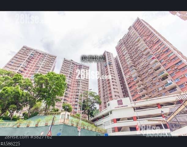 世界花园 售盘 3 房 1,255 平方尺