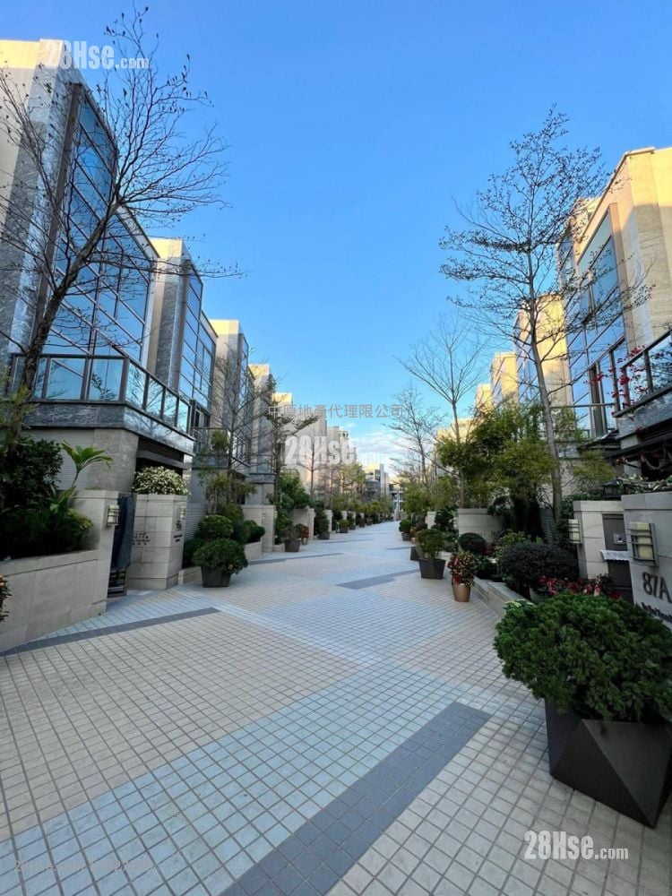 Domus Sell 4 Bedrooms 2,536 ft²