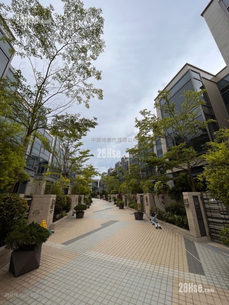 Domus Sell 4 Bedrooms 2,536 ft²