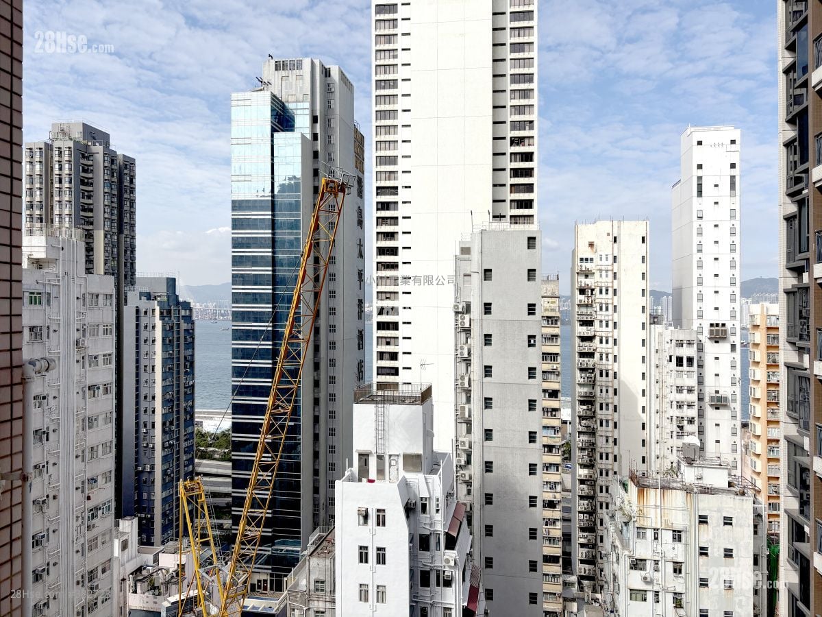 景观: Flora Court 租盘 1 房 , 1 浴室 313 平方尺