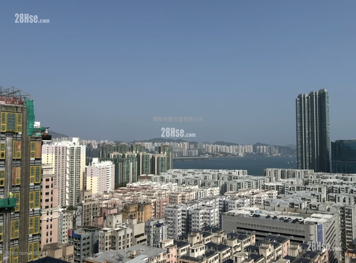 The Haddon 租盤 1 房 , 1 浴室 266 平方呎