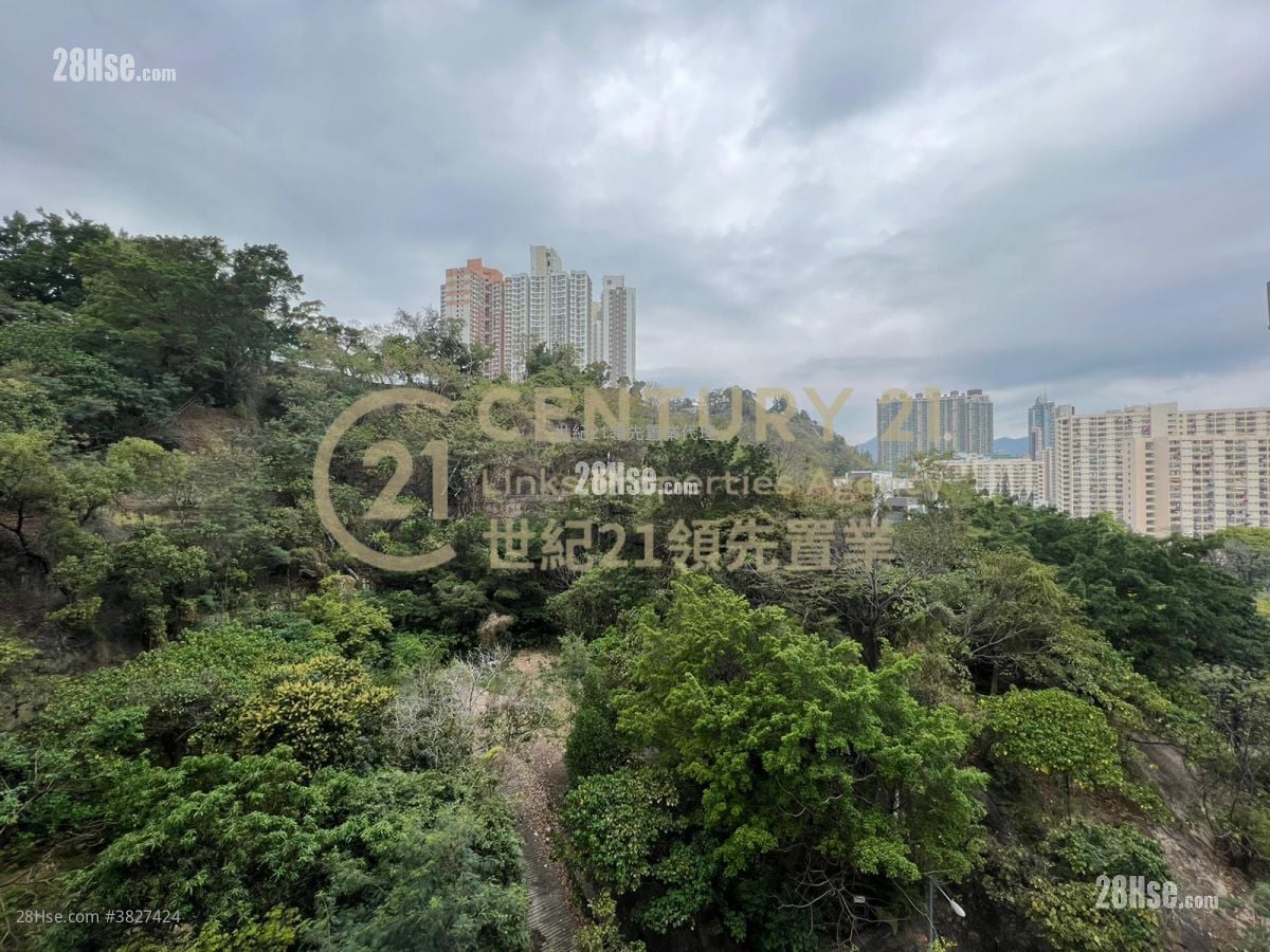 何文田山畔 售盘 2 房 , 1 浴室 490 平方尺