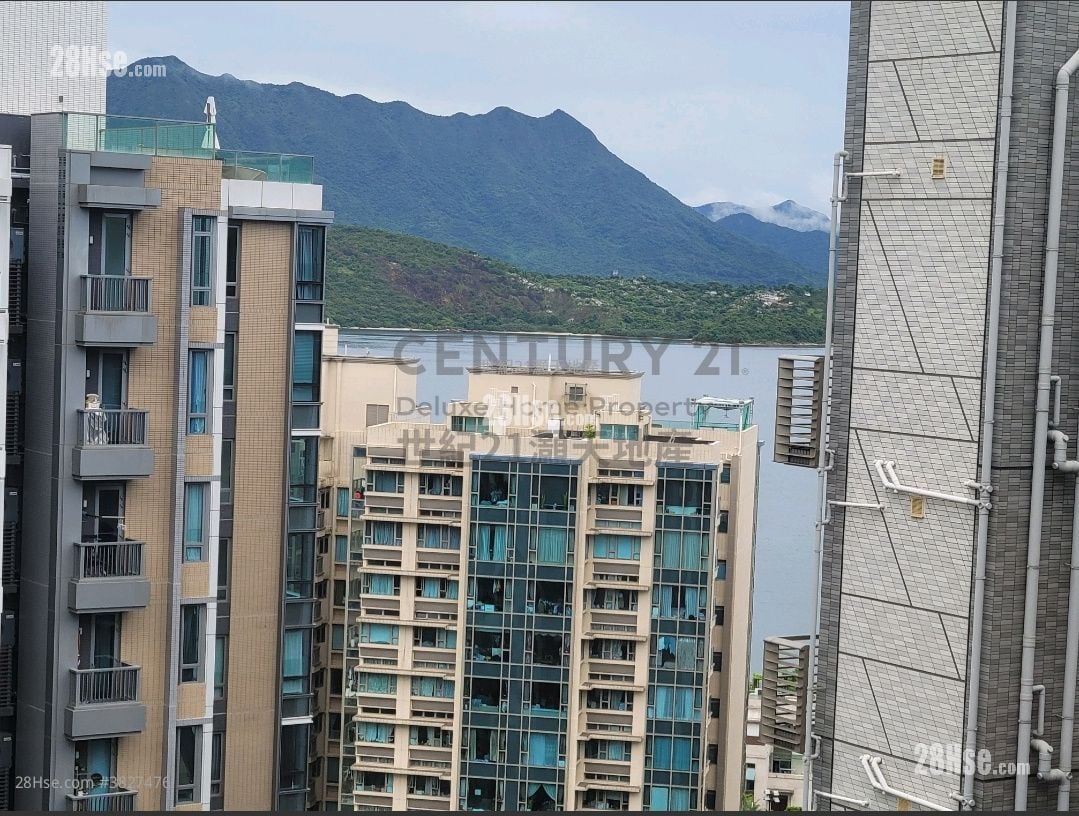 Solaria Rental 2 Bedrooms , 1 Bathroom 453 ft²