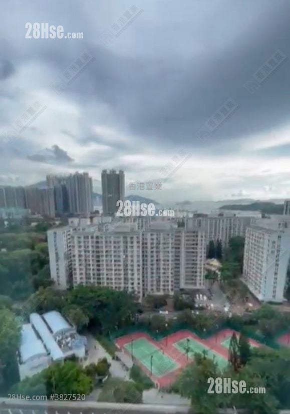 愛海頌 租盤 786 平方呎