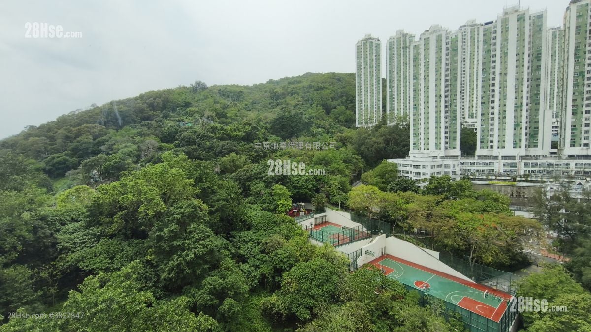 Summit Terrace Sell 2 Bedrooms , 1 Bathroom 424 ft²