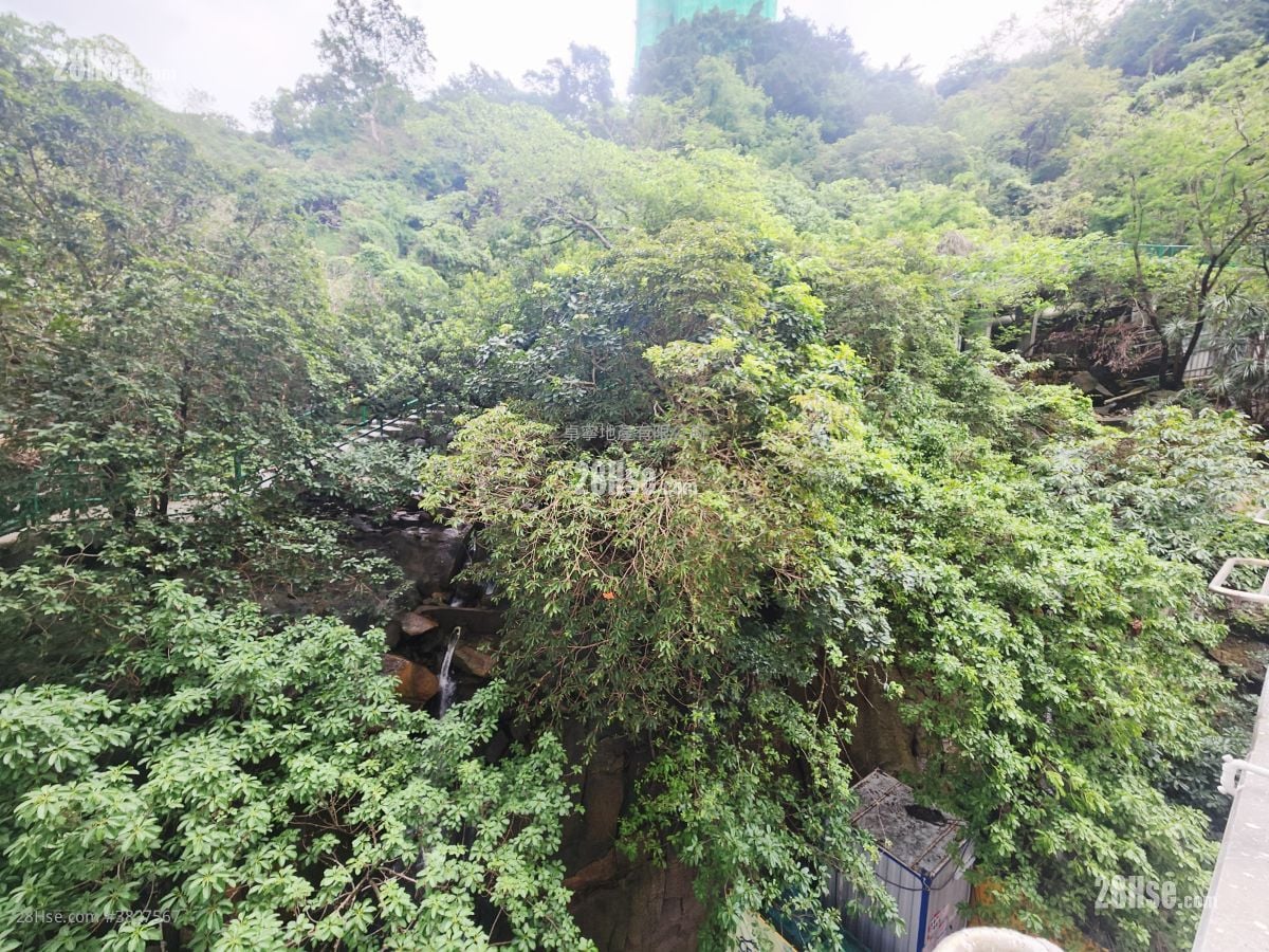 单幢楼房 租盘 100 平方尺