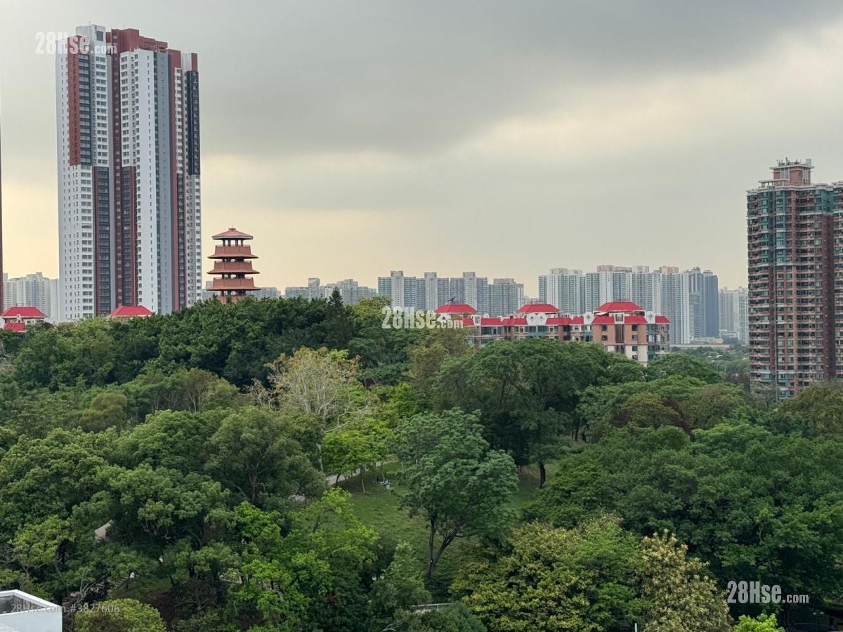 Covent Garden Rental 2 Bedrooms , 1 Bathroom 537 ft²