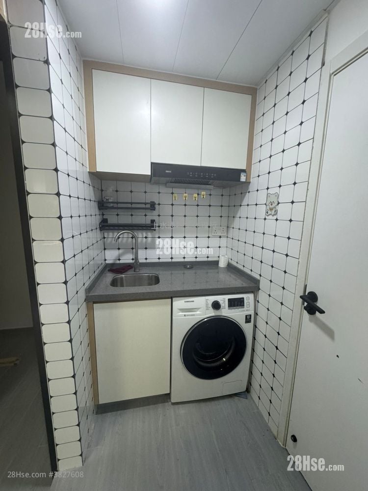 唐樓 租盤 250 平方呎