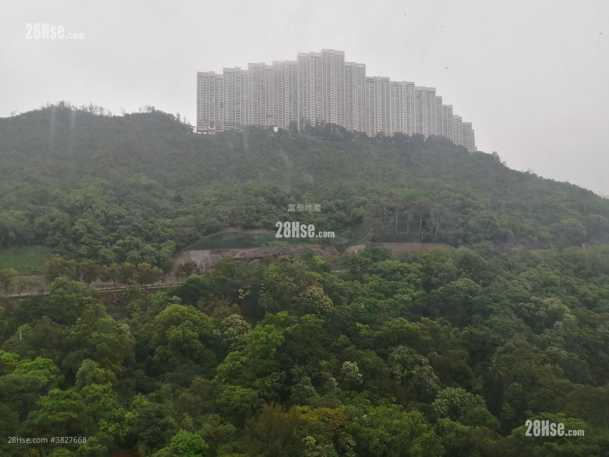 金龙工业中心 租盘 2 房 , 3 厕所