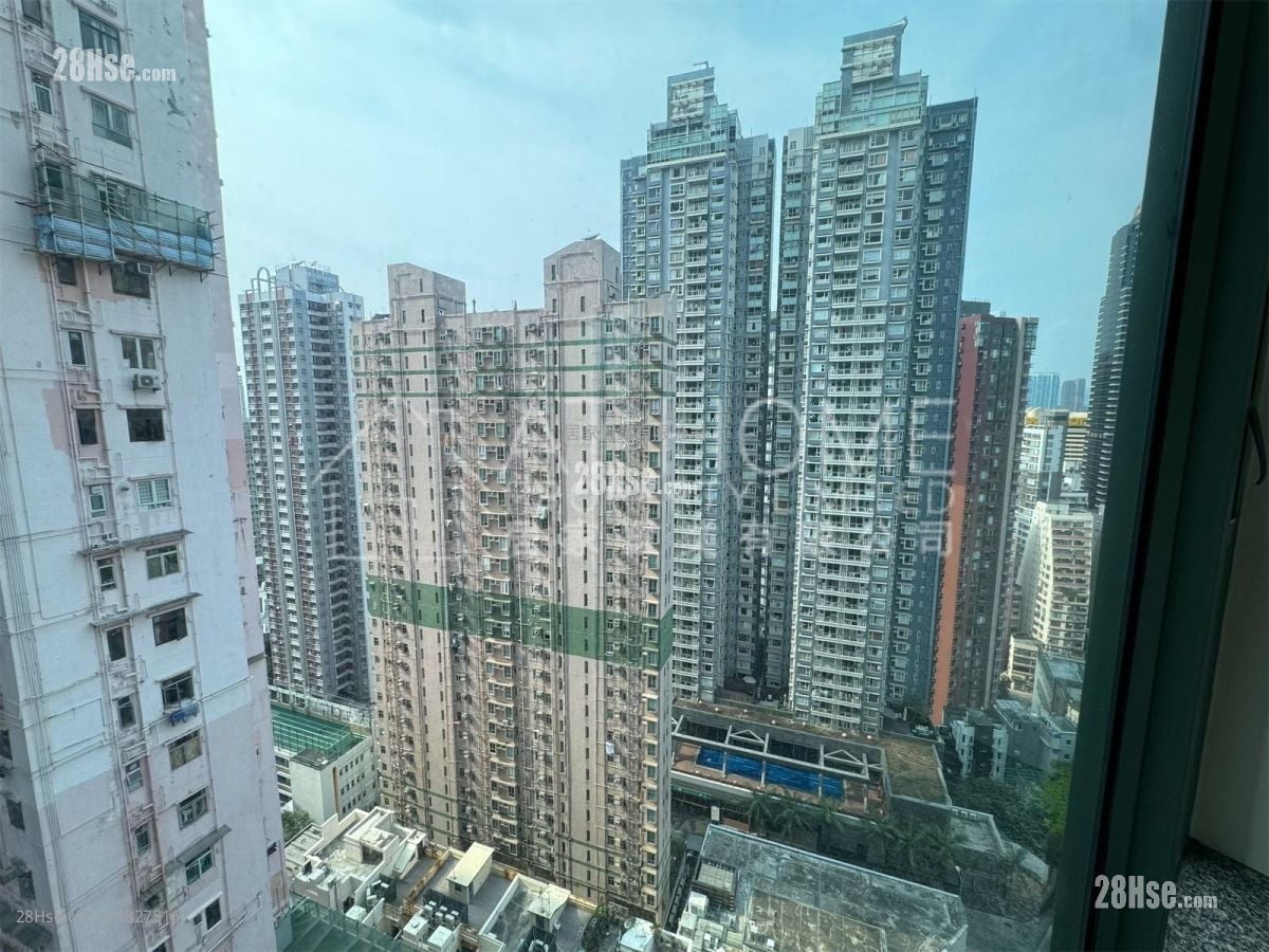 宝华轩 租盘 2 房 , 1 浴室 566 平方尺