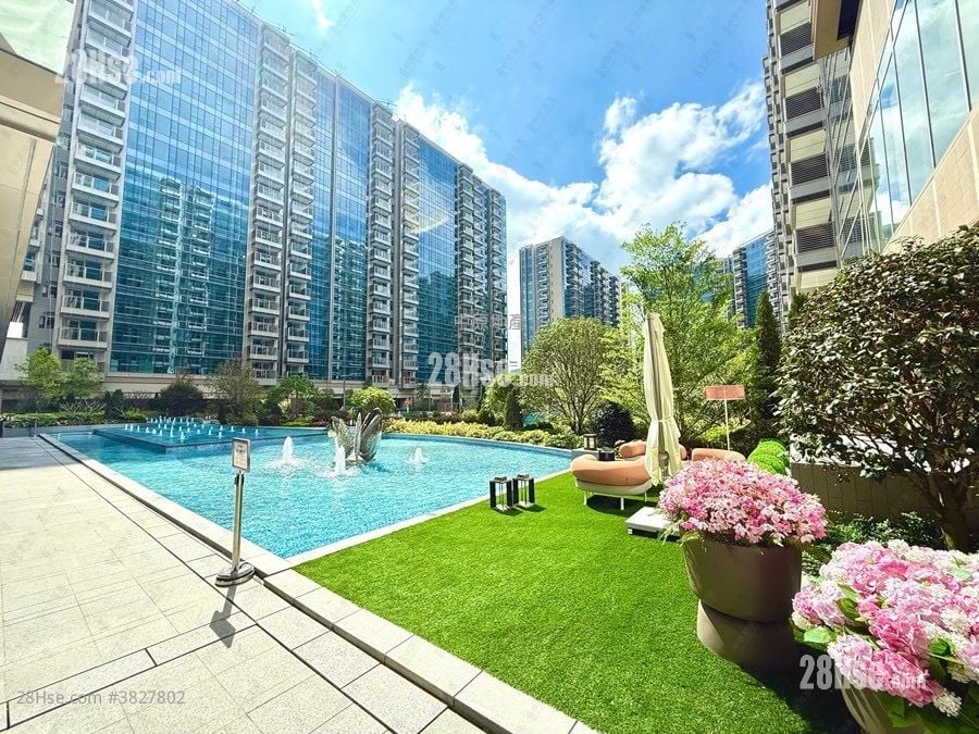 柏珑 售盘 2 房 , 1 浴室 455 平方尺