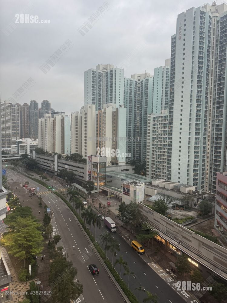 汇玺 租盘 2 房 , 2 浴室 529 平方尺