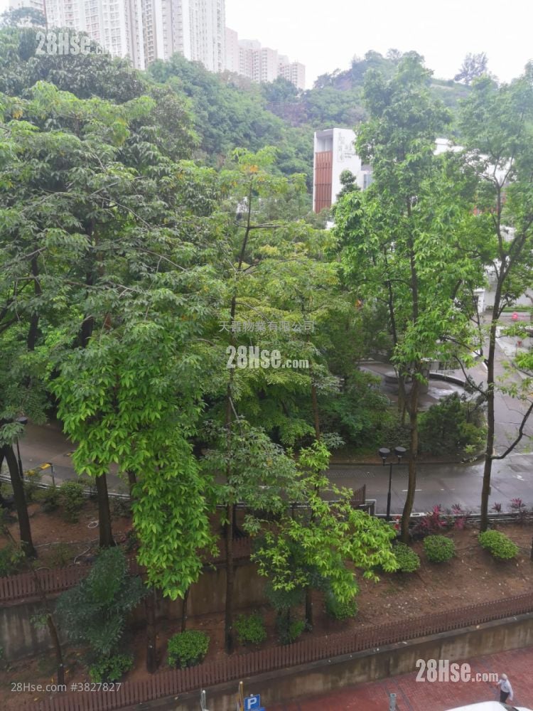 Wing Lam Mansion Rental 1 Bedroom , 1 Bathroom 281 ft²