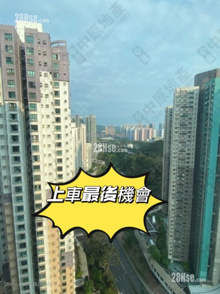 Well On Garden Sell 1 Bedroom , 1 Bathroom 354 ft²