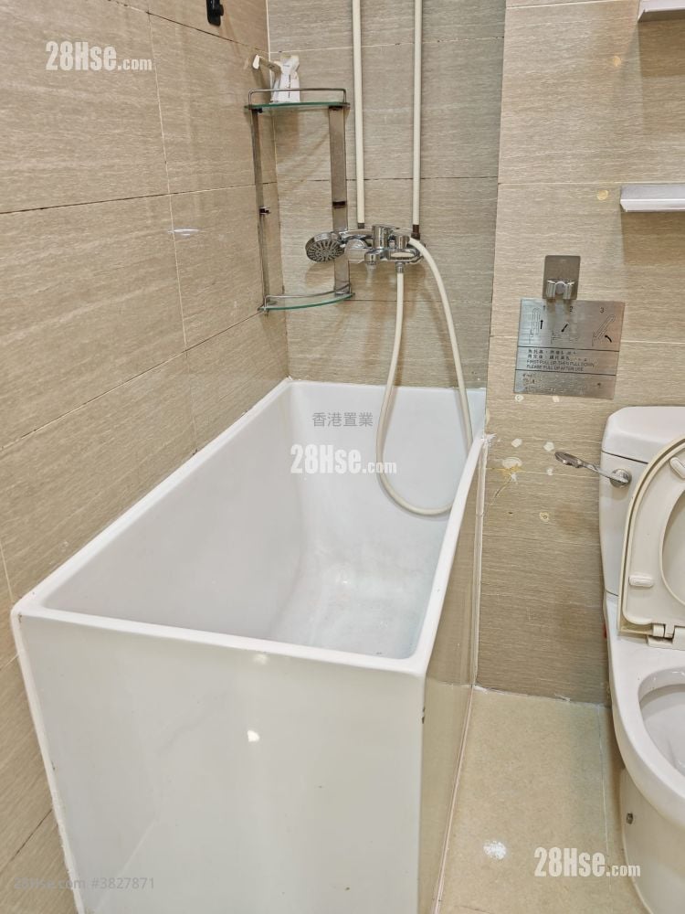 iPLACE 租盤 1 房 , 1 廁所 500 平方呎