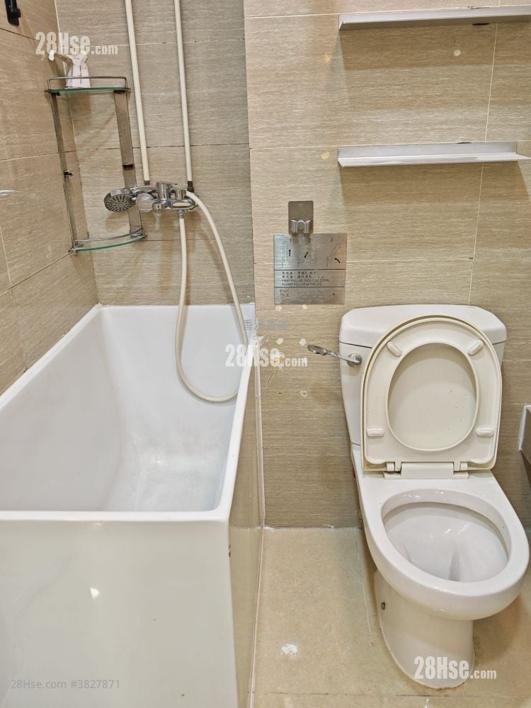 iPLACE 租盤 1 房 , 1 廁所 500 平方呎