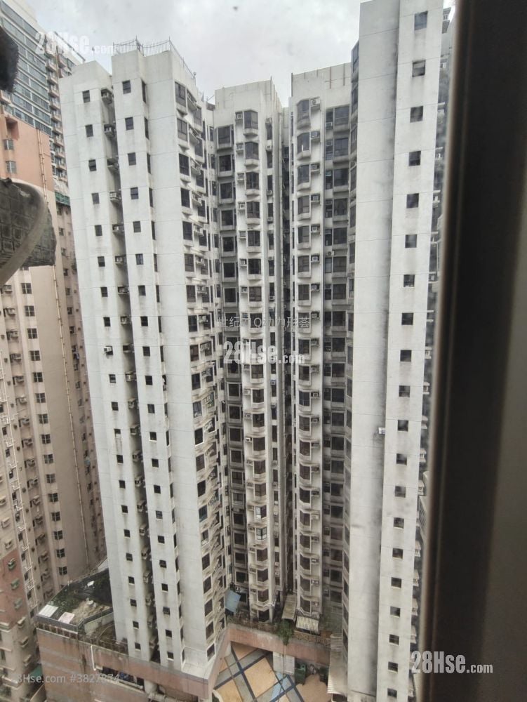 康华大厦 售盘 1 房 , 1 浴室 325 平方尺