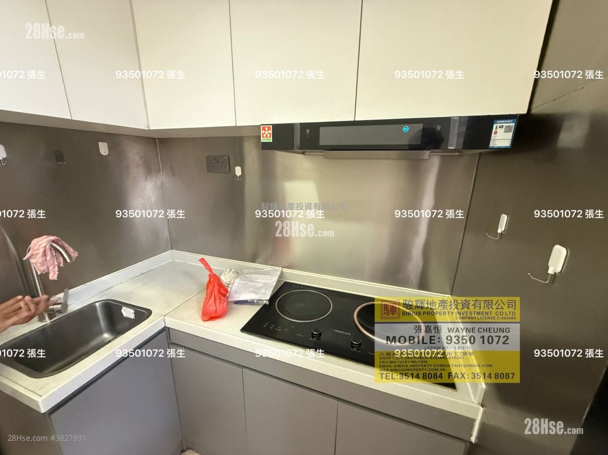 126-128 Temple Street Rental 2 Bedrooms , 1 Bathroom 390 ft²