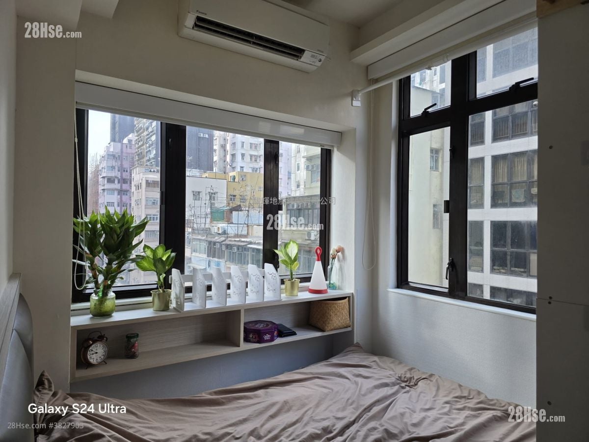 鸿运大楼 租盘 1 房 , 1 浴室 300 平方尺