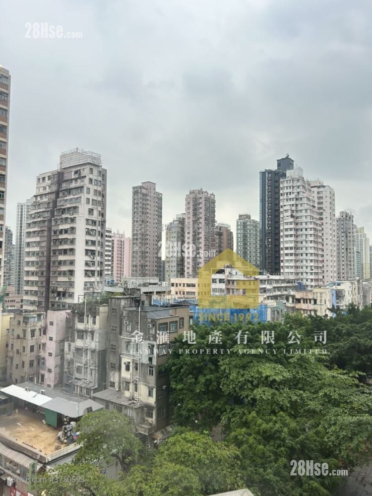 鑽嶺 租盤 1 房 214 平方呎