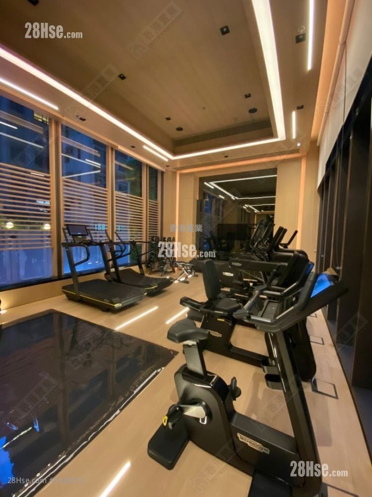 The Consonance Rental 1 Bedroom , 1 Bathroom 270 ft²