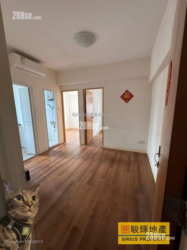 Shun King Building Rental 2 Bedrooms , 1 Bathroom 320 ft²
