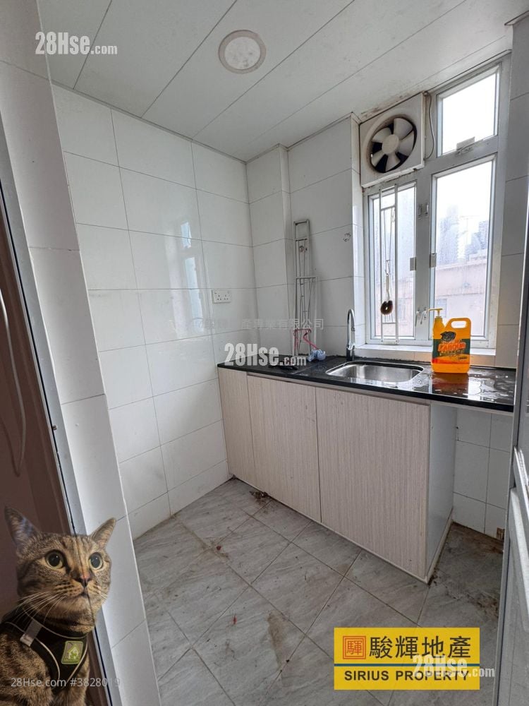Shun King Building Rental 2 Bedrooms , 1 Bathroom 320 ft²