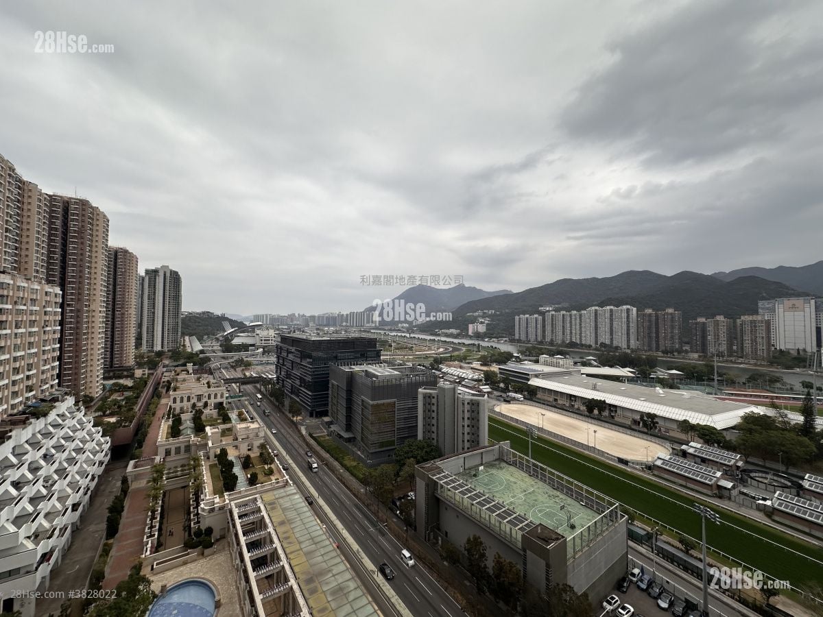 御龍山 售盤 4 房 , 2 浴室 1,444 平方呎