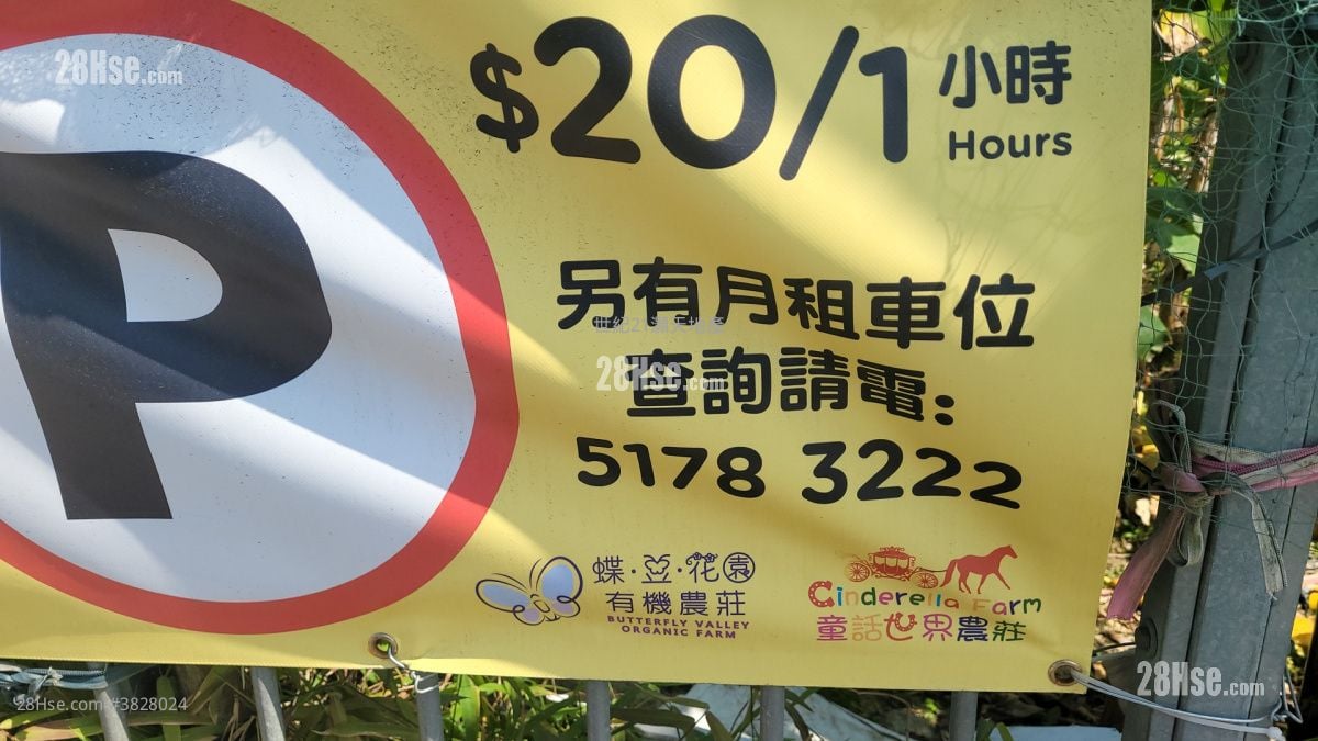 岚山 租盘 开放式间隔 , 1 浴室 196 平方尺