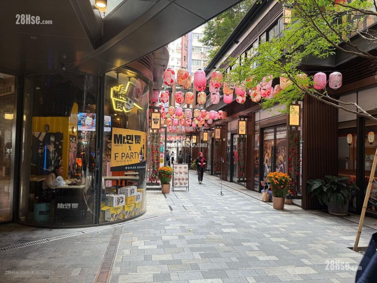 启岸 租盘 开放式间隔 , 1 浴室 196 平方尺