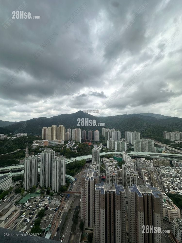 柏傲庄 租盘 1 房 324 平方尺