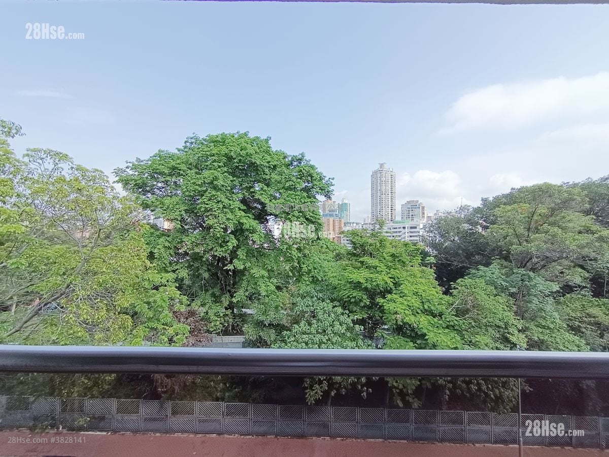 寿菊路10号 租盘 3 房 , 3 浴室