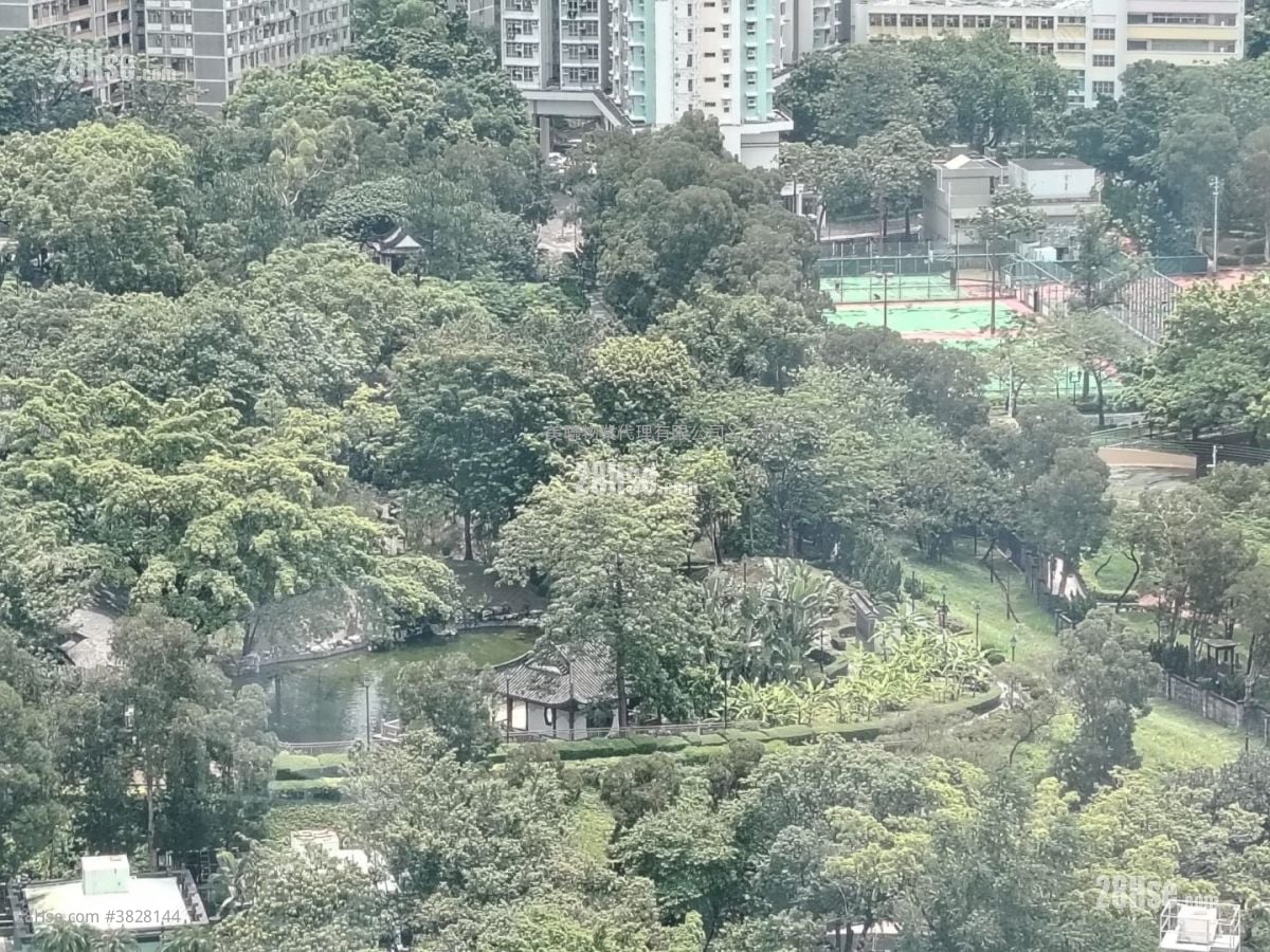 Allegro Rental 354 ft²