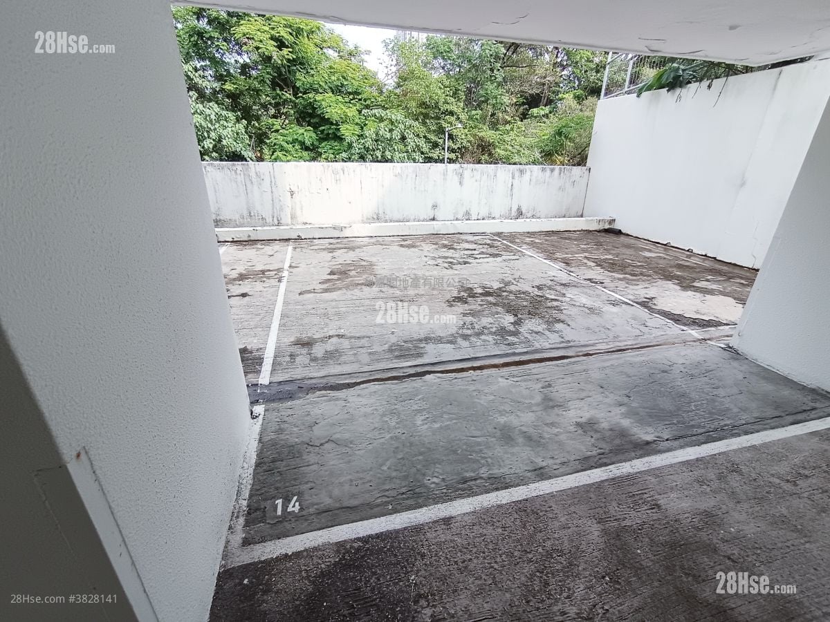 寿菊路10号 租盘 3 房 , 3 浴室