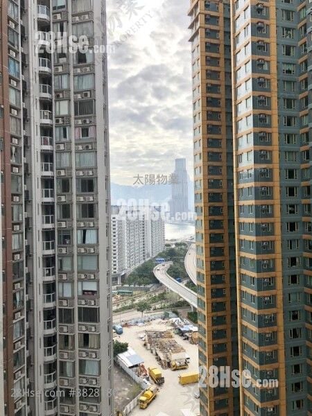 维港星岸 租盘 3 房 728 平方尺