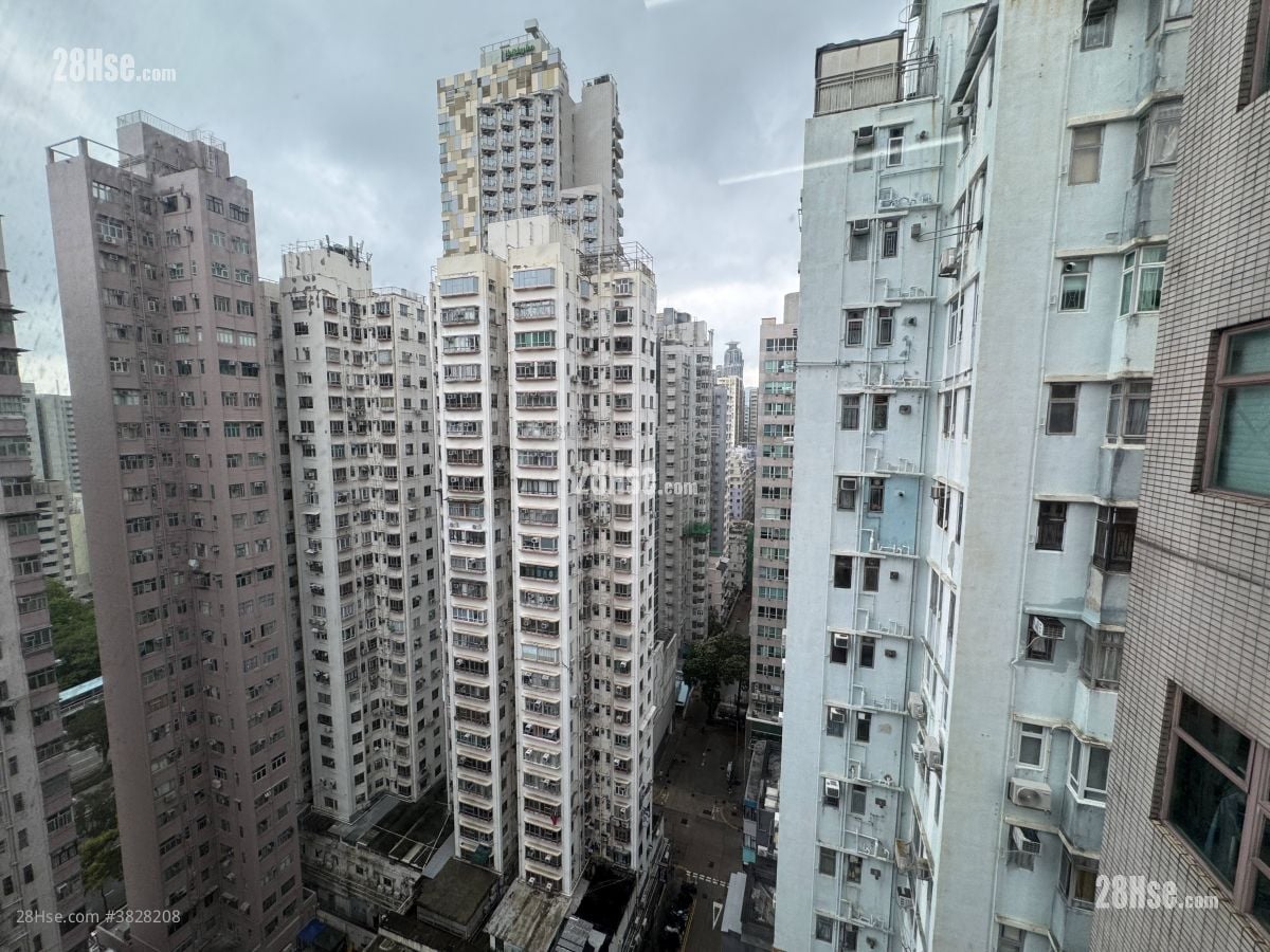 安兰阁 租盘 2 房 , 1 浴室 273 平方尺