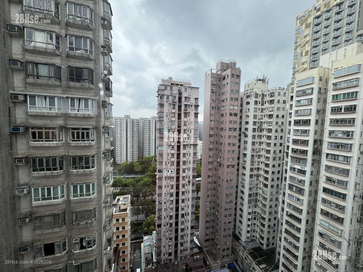 安兰阁 租盘 2 房 , 1 浴室 273 平方尺