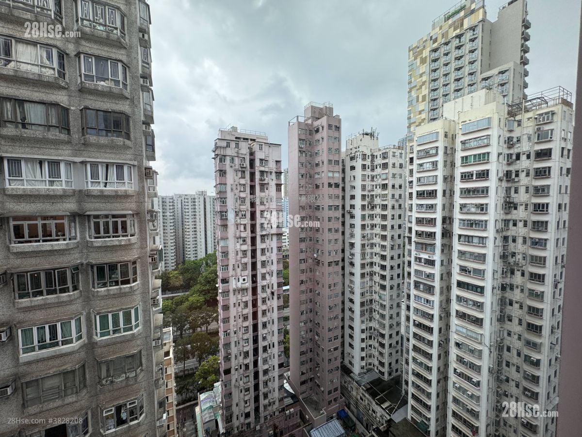 安兰阁 租盘 2 房 , 1 浴室 273 平方尺